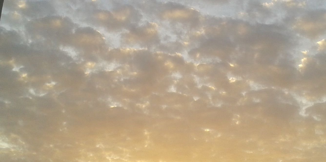 ppll19's profile banner image