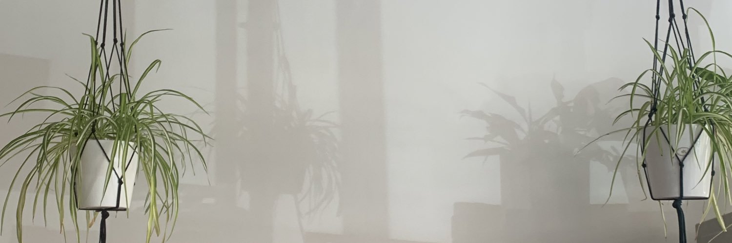 lucyyjanee_'s profile banner image
