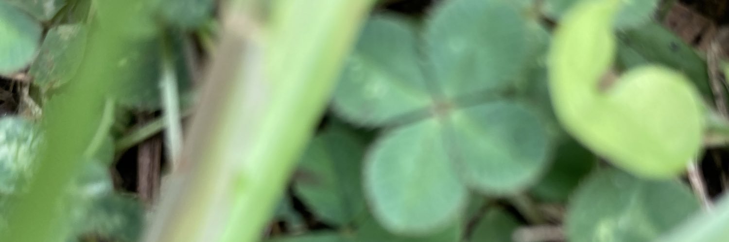 ClintGranger's profile banner image