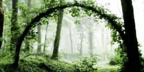 yur_hae's profile banner image
