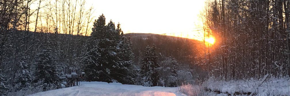 SuzannePerin's profile banner image