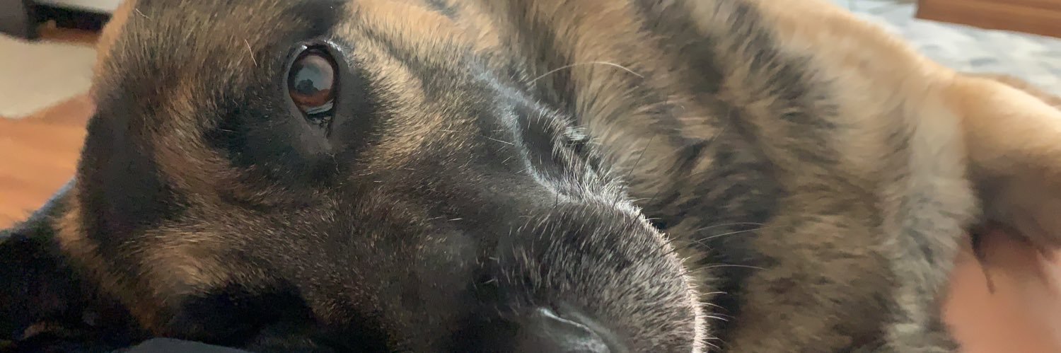 Daaljimur's profile banner image
