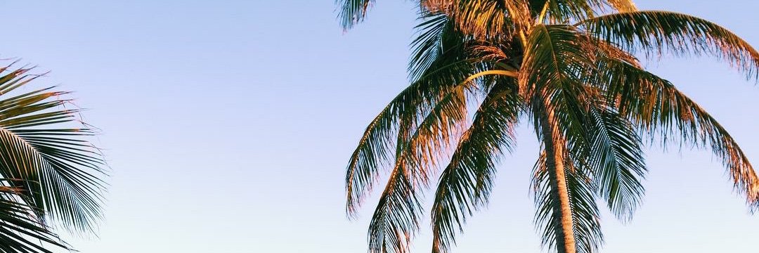 solgamess's profile banner image