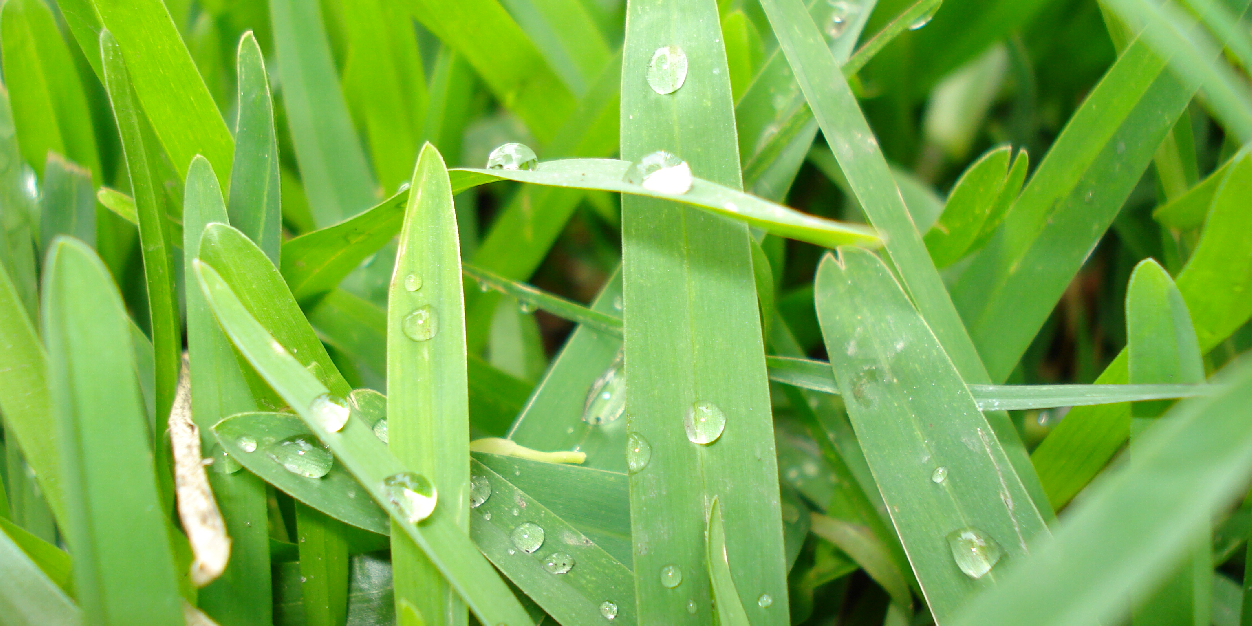 26Greener's profile banner image