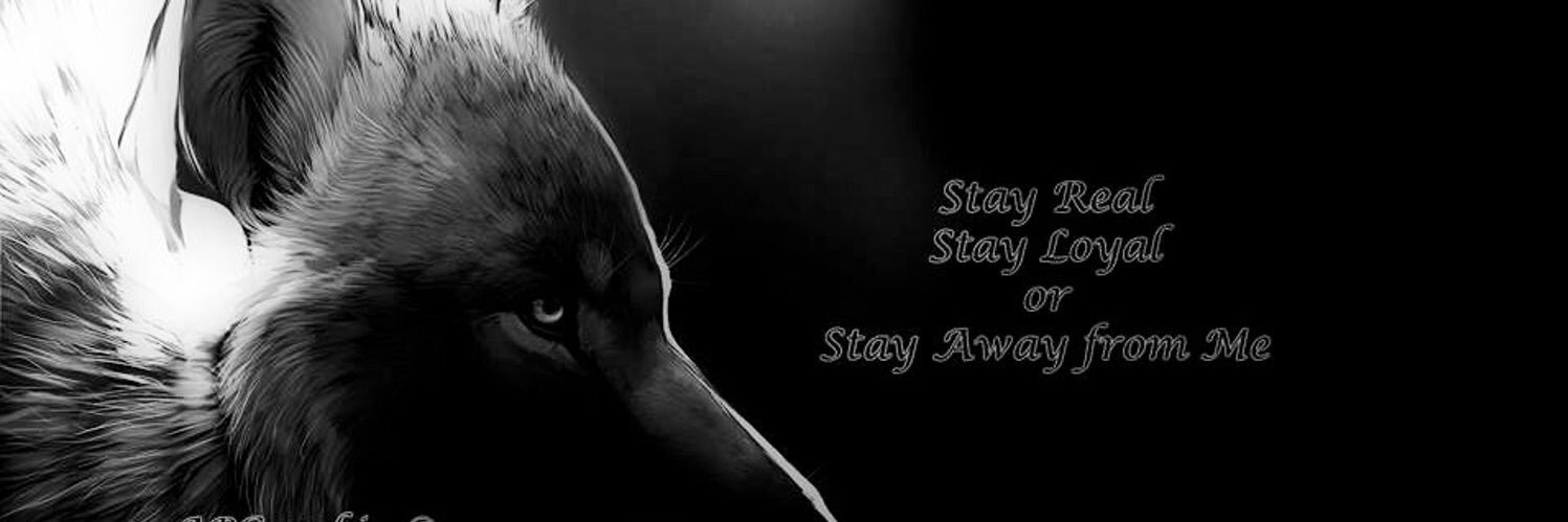 Skar 🕶🧗🏻‍♂️ 🇨🇦 🇫🇷🇺🇸 banner