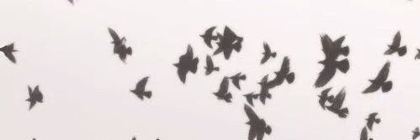 wejdanHaza's profile banner image