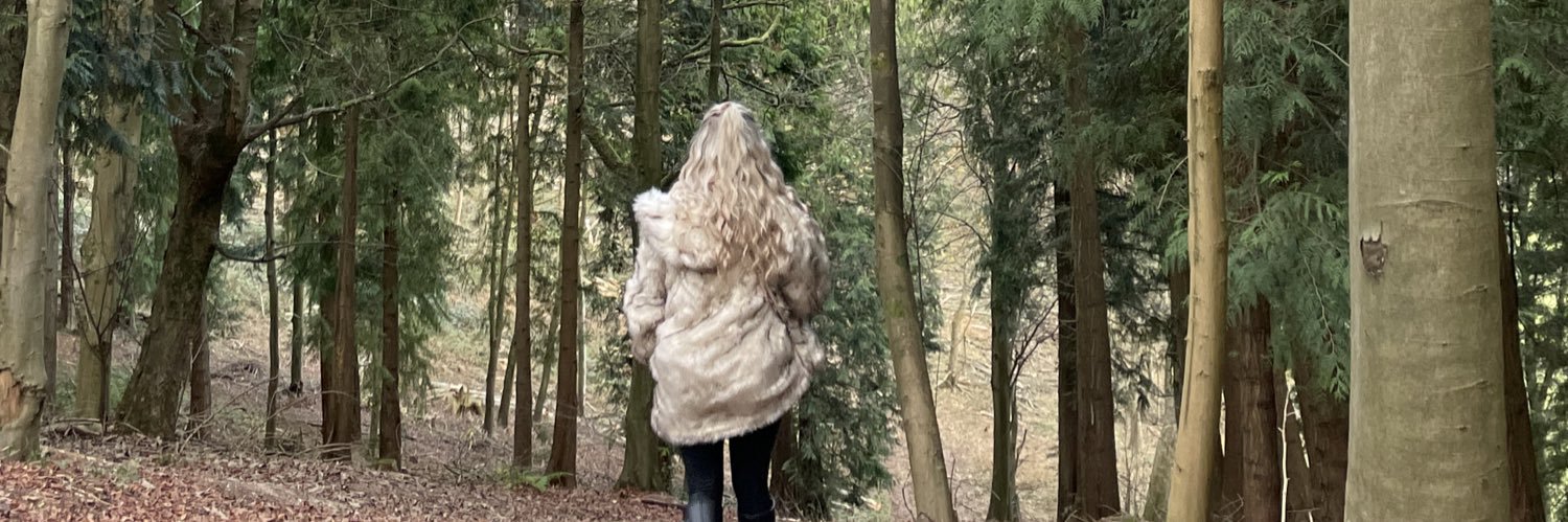 chlostevens9's profile banner image