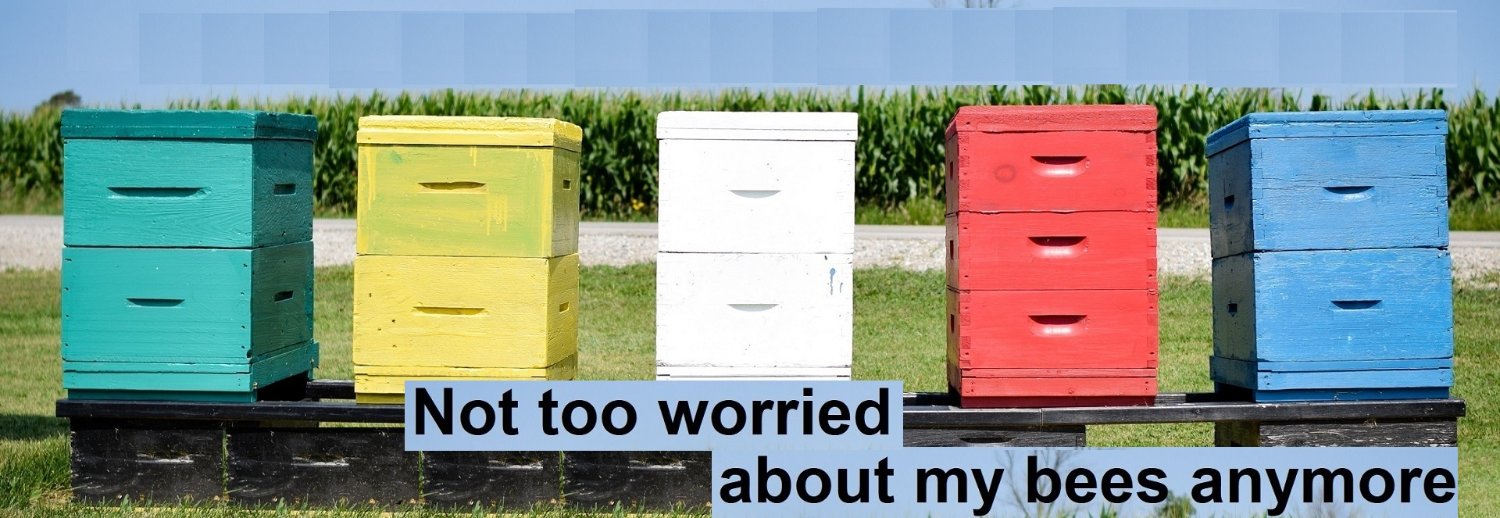 JvBees's profile banner image