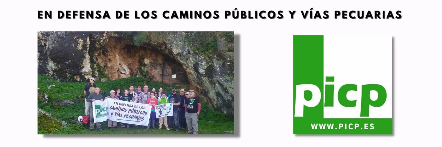 PICPublicos's profile banner image