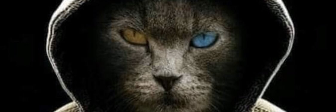 mdlfuente's profile banner image