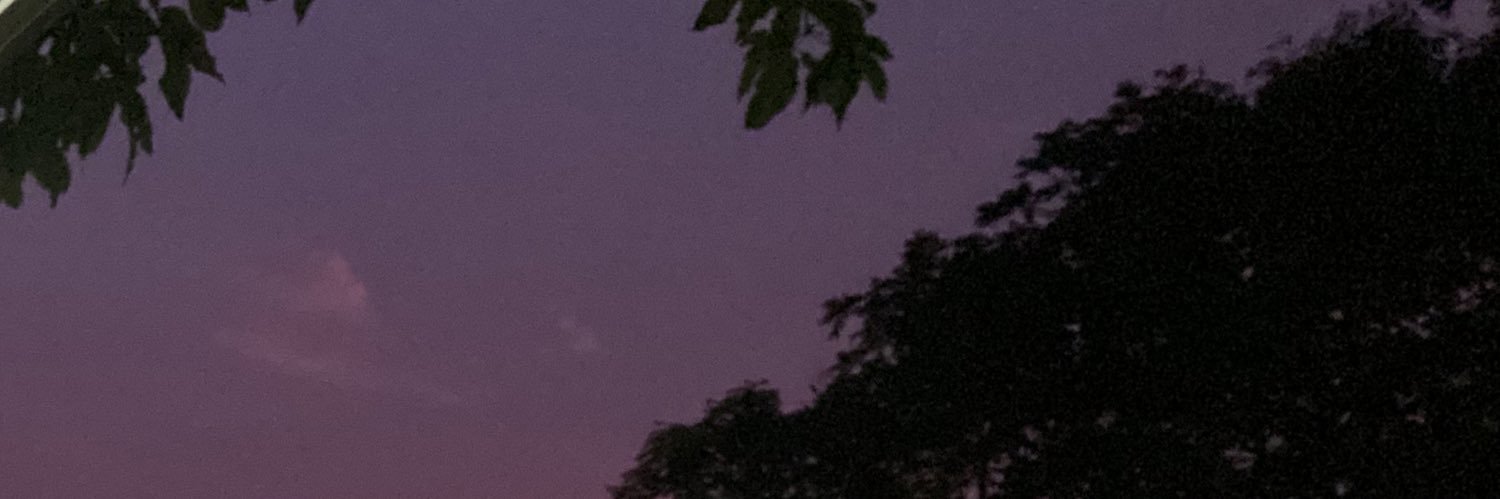 angelicagedaria's profile banner image