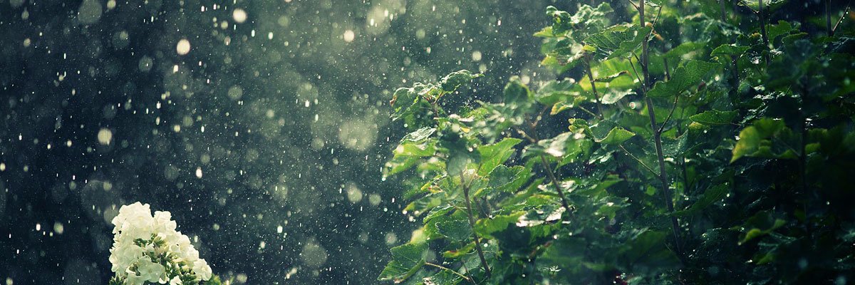 gilbala20's profile banner image
