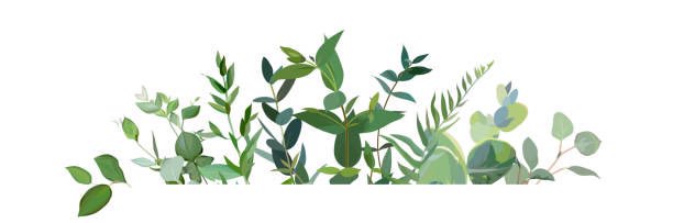 IsMiseChlo's profile banner image