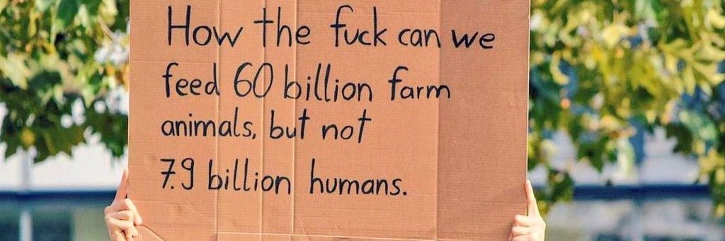 Corina Kerkmans banner