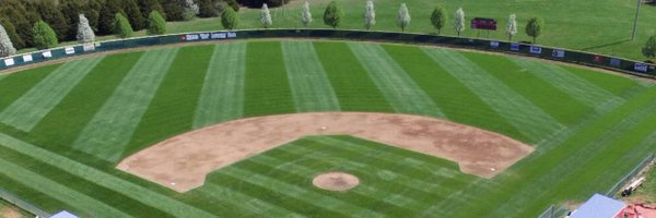 Mineral Area Baseball Profile Banner