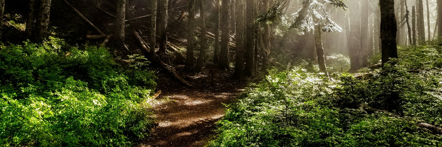 Grumpy Tech Bro banner