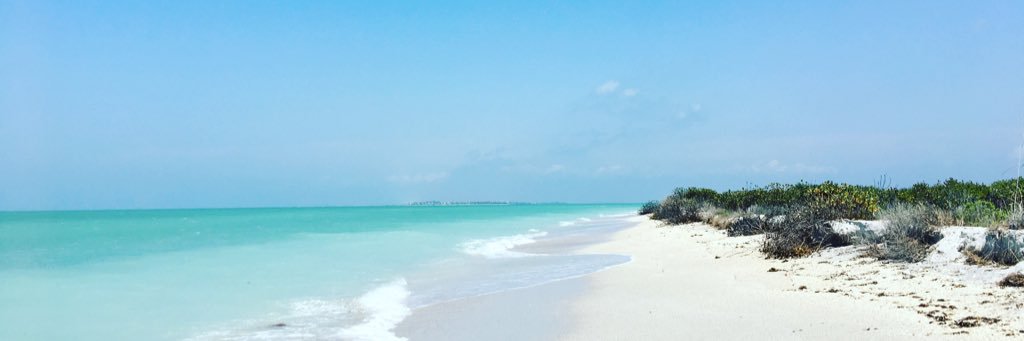 sbaranski's profile banner image
