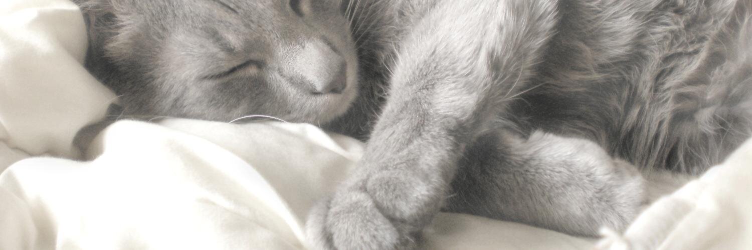 Anna Doškina 🇺🇦 banner