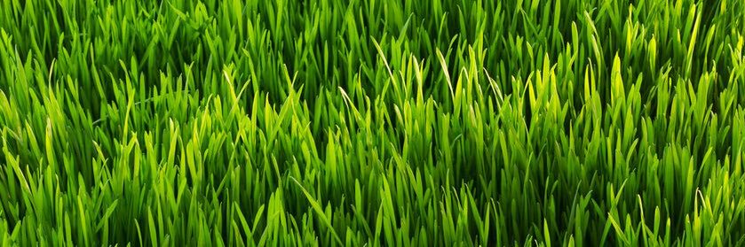 LizJHen's profile banner image