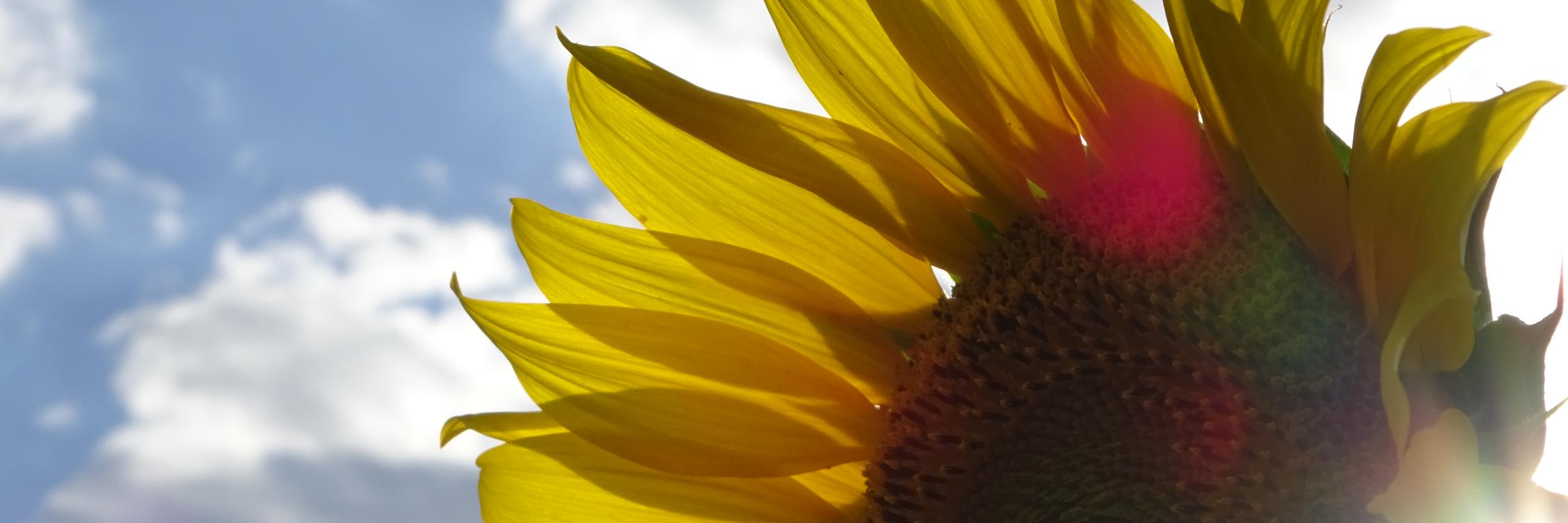 BurcinDILCI's profile banner image