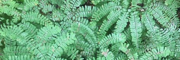 EricBoodman Profile Banner