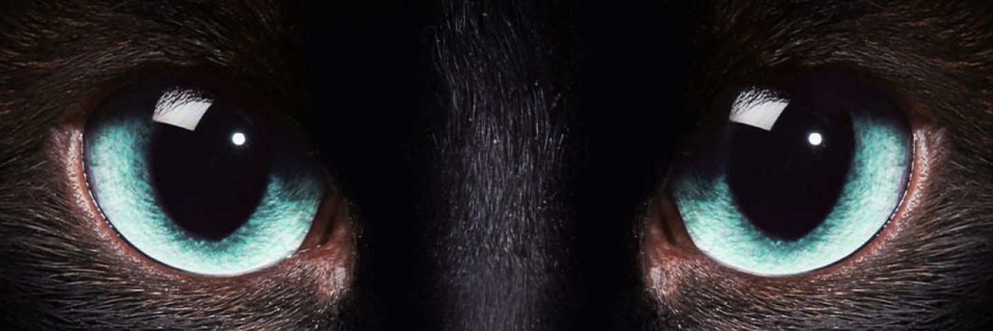 eiltizer1903's profile banner image