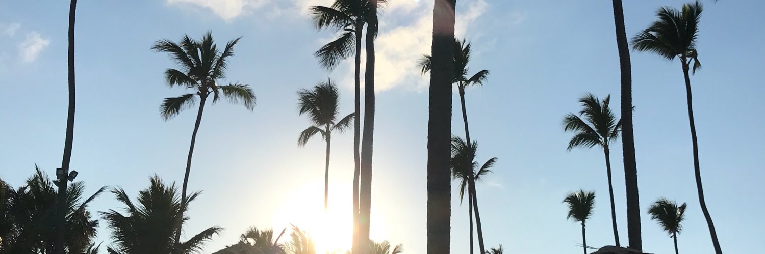 sam zaccardo banner