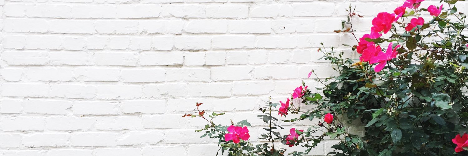 chelspwn's profile banner image