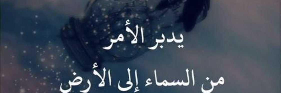 xew111's profile banner image