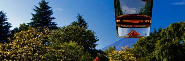 iznetto Profile Banner