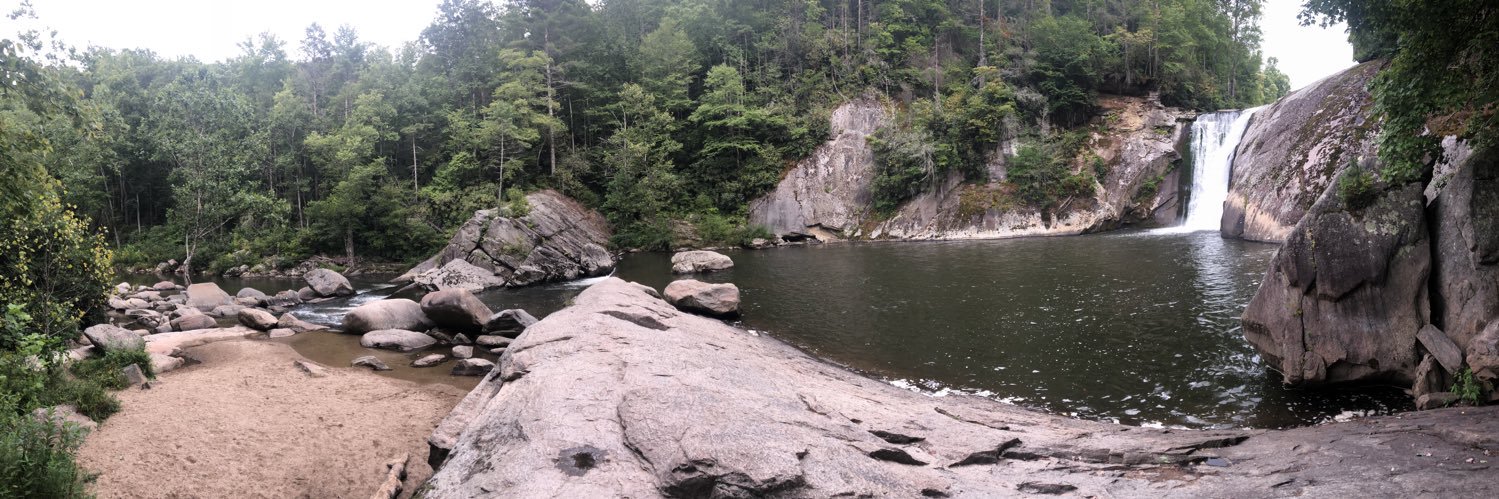 Mary Weinstein Dunn banner