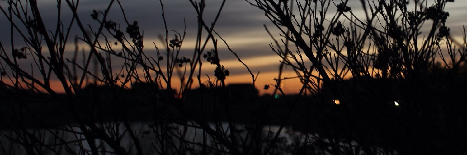 bashfulticket's profile banner image