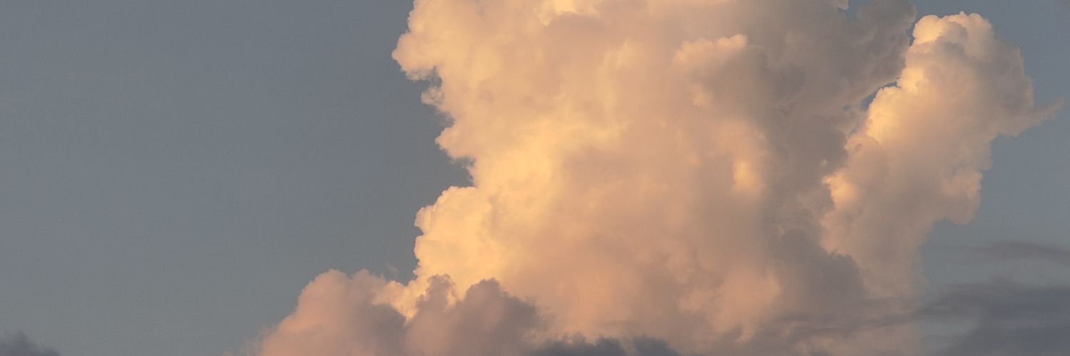 Scarlet_Dlt's profile banner image