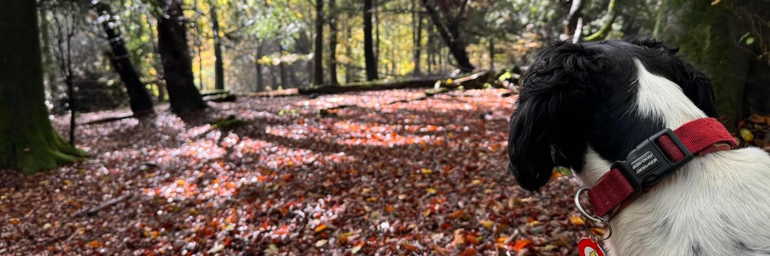 🦾Lisa Clements ♍️🕉 banner