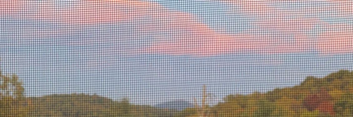 LuiPablo_50's profile banner image