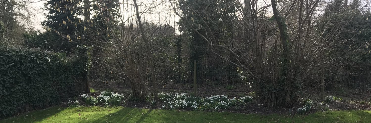 𝙴𝚖𝚖𝚊 𝙷𝚊𝚛𝚍𝚠𝚒𝚌𝚔💙 banner