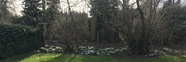 EmmaeHardwick Profile Banner