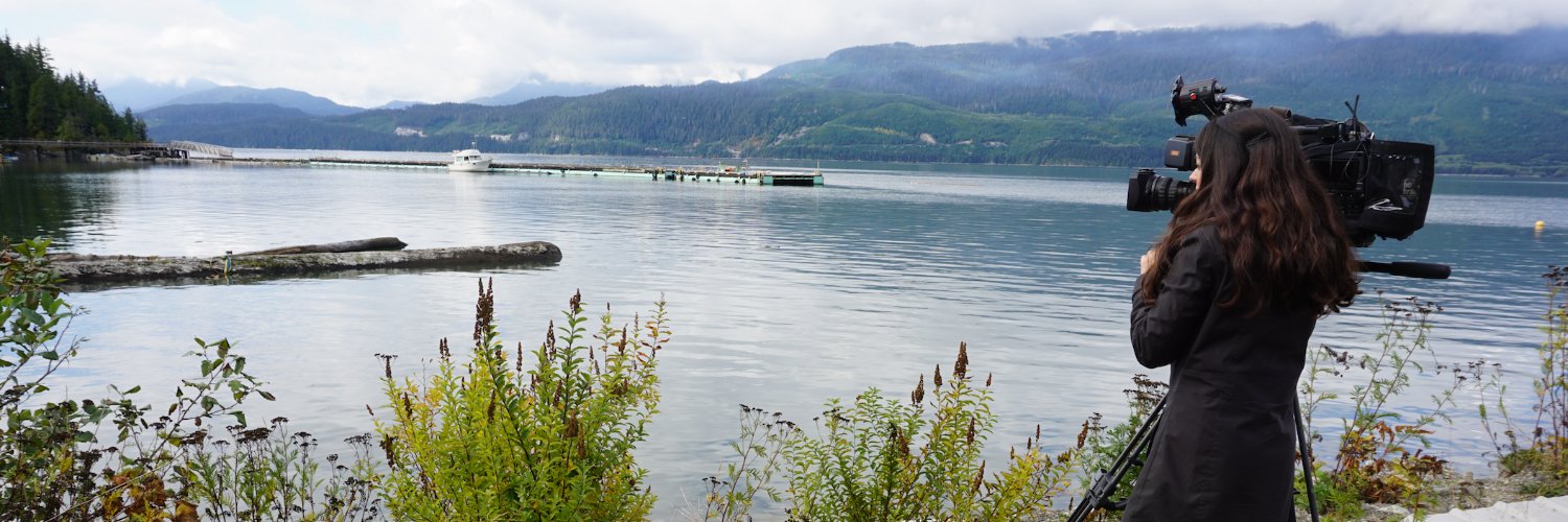 Elizabeth McSheffrey banner