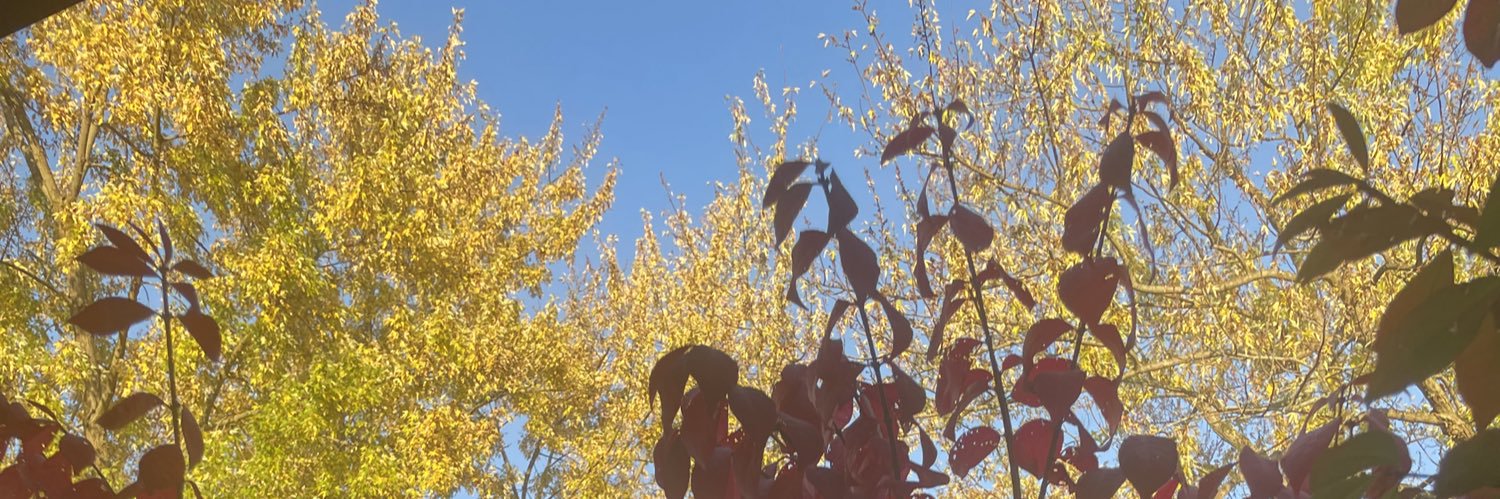Bucknate1532's profile banner image