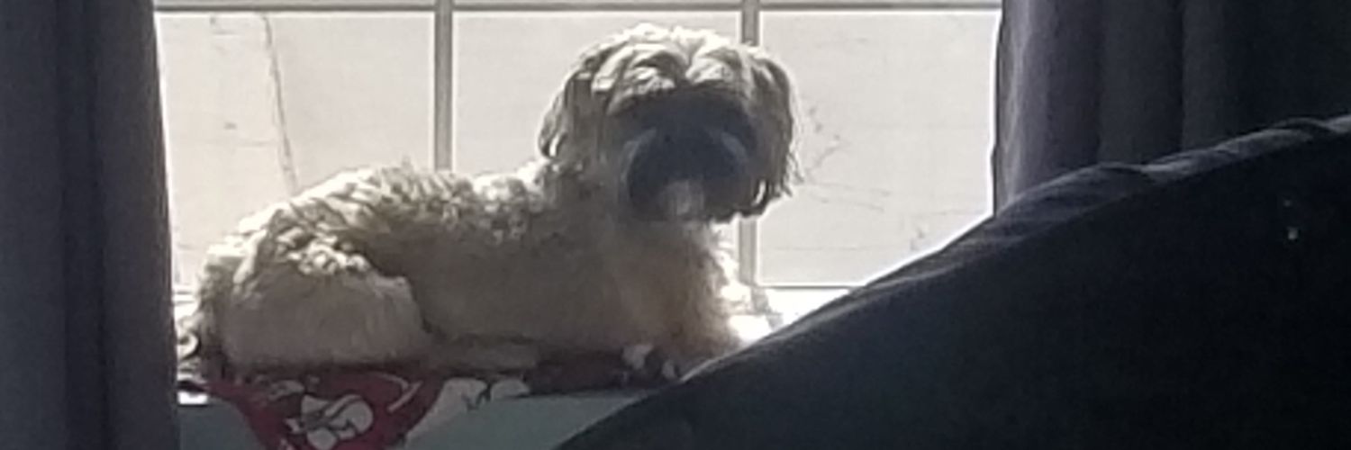 xmishl71's profile banner image