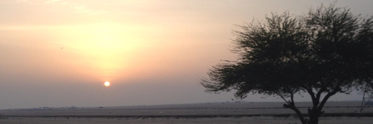 hamedwh's profile banner image