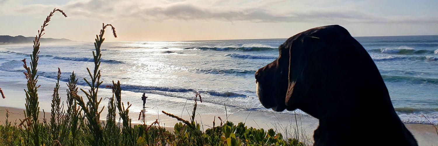 Judy Mann-Lang banner
