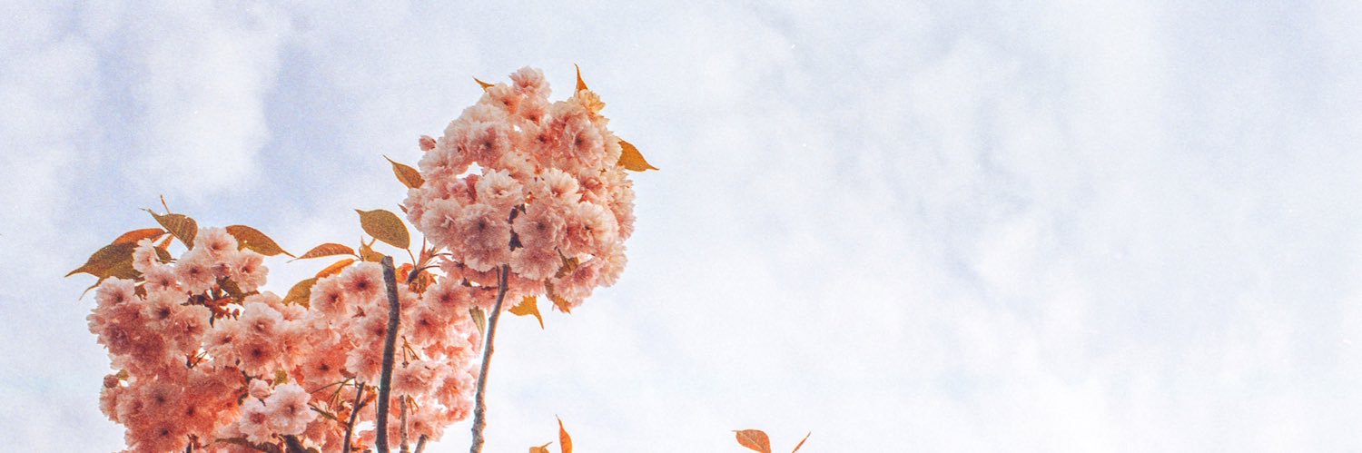 Lil0Simmo's profile banner image