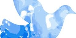 Dest2001Destiny's profile banner image