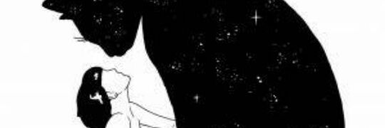 dirimdiriiimm's profile banner image