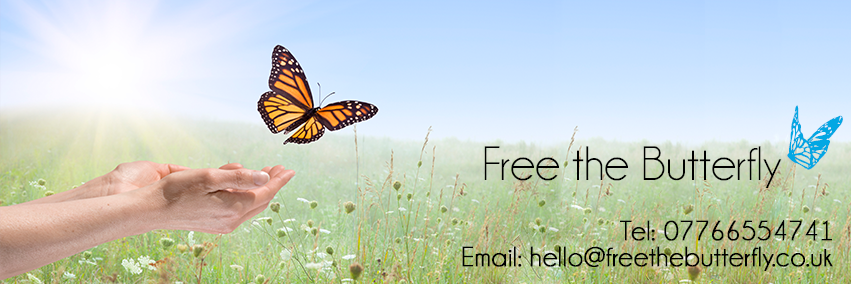 FTButterfly's profile banner image