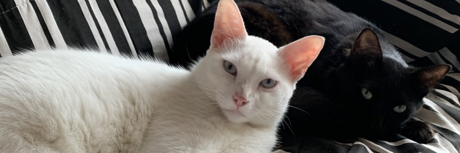 _vegcat's profile banner image