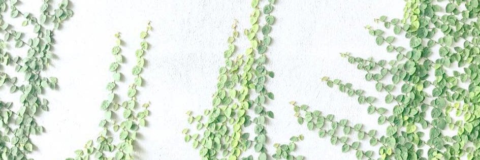 jenestco's profile banner image