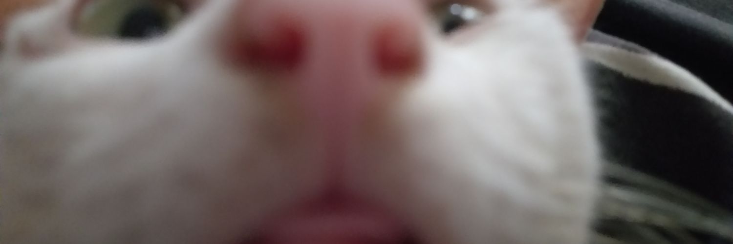 tinnetyone's profile banner image