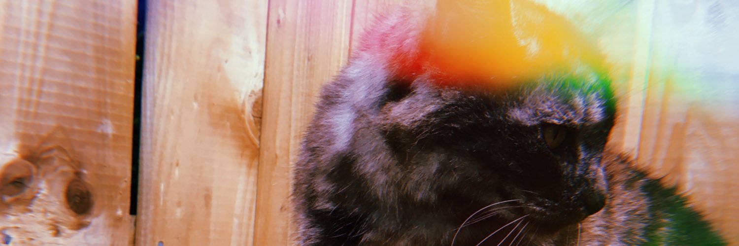 RoisinxD's profile banner image